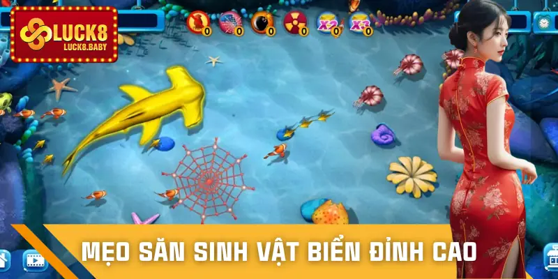 ban-ca-luck8-meo-choi