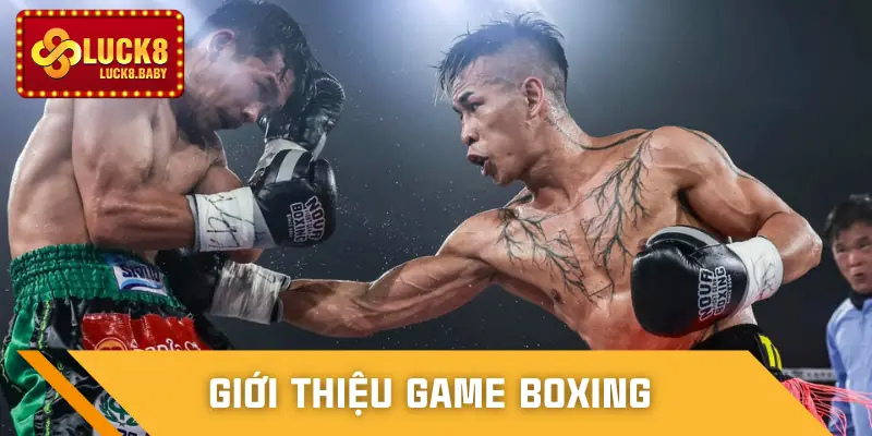 ca-cuoc-boxing-gioi-thieu