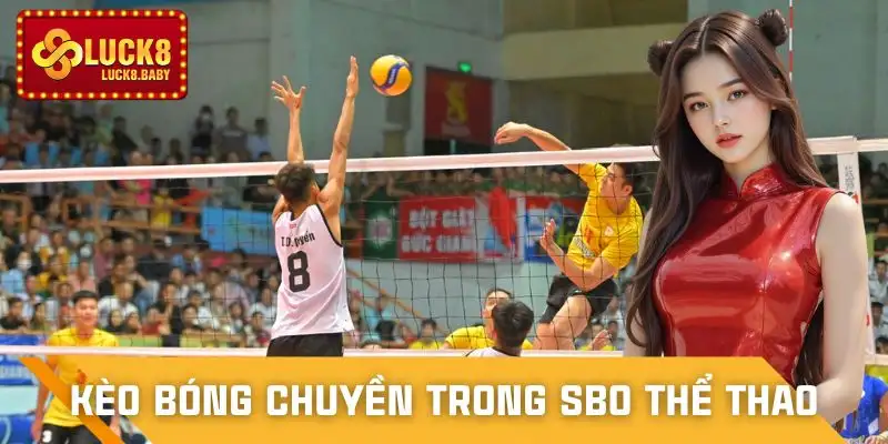 sbo-the-thao-bong-chuyen